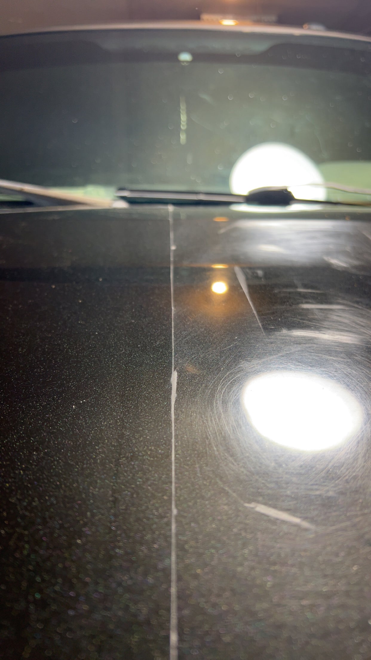 Paint Enhancement/Correction